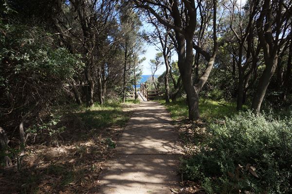 Bass Point Reserve (2/02/2018 - Credits: Mary Barltrop)