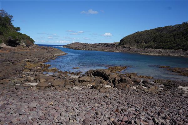 Bass Point Reserve (2/02/2018 - Credits: Mary Barltrop)