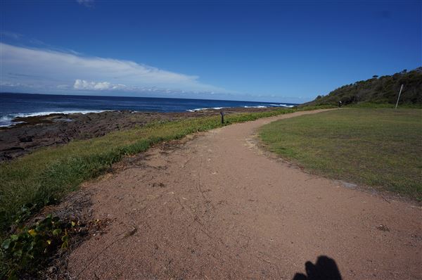 Bass Point Reserve (2/02/2018 - Credits: Mary Barltrop)