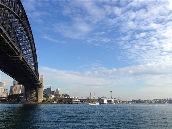 Sydney Harbour Bridge - View from near Iconic Luna Park (14/07/2014 - Credits: Shannon Wheeler)