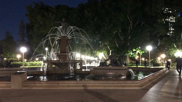Sydney at Night (22/07/2018 - Credits: Shannon Wheeler)
