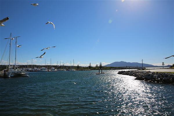 Bermagui (4/08/2018 - Credits: Lisa Scope)