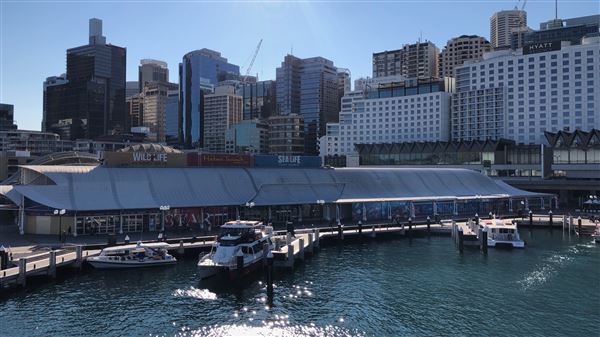 Darling Harbour (15/08/2018 - Credits: Shannon Wheeler)