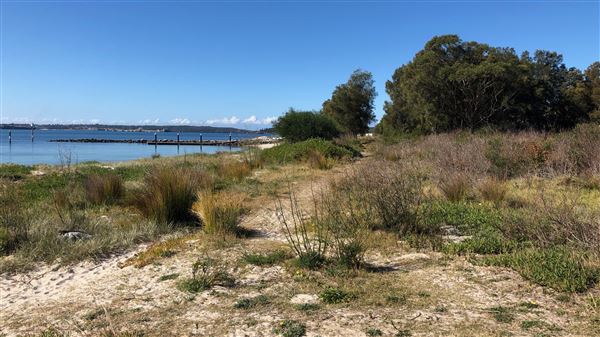 Bonna Point Reserve (23/05/2018 - Credits: Shannon Wheeler)