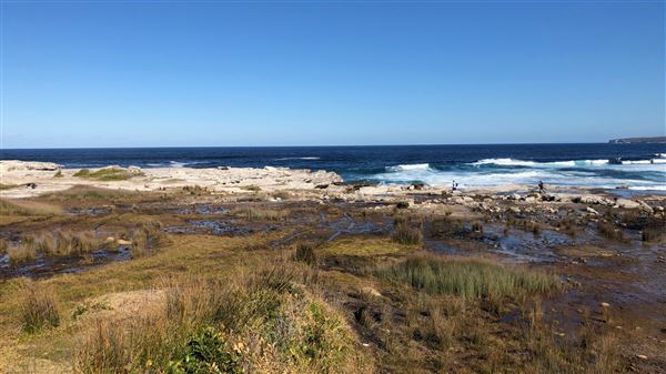 Kamay Botany Bay National Park (23/05/2018 - Credits: Shannon Wheeler)