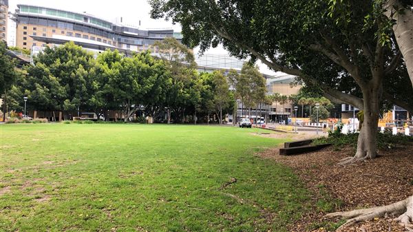 Pyrmont Bay Park (26/10/2018 - Credits: Shannon Wheeler)