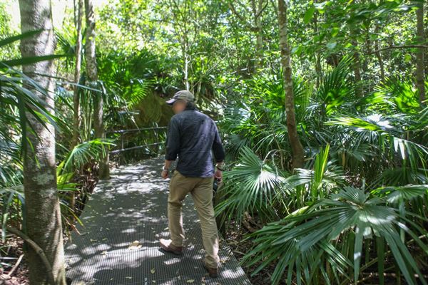 Minnamurra Rainforest Walk - Budderoo National Park (30/10/2018)