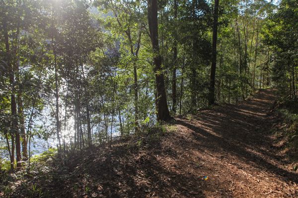 Clarrie Hall Dam (1/11/2018)