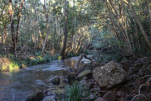 Clarrie Hall Dam (1/11/2018)