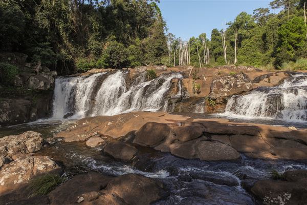 Whian Whian Falls (1/11/2018)