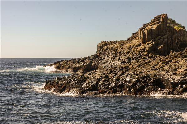 Bombo Headland Quarry (30/10/2018 - Credits: Chris Reynolds)
