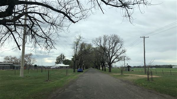 East Tamworth (17/09/2018 - Credits: Shannon Wheeler)