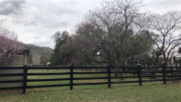 East Tamworth (17/09/2018 - Credits: Shannon Wheeler)