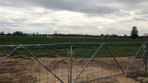 East Tamworth (17/09/2018 - Credits: Shannon Wheeler)