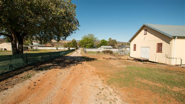 Attunga (20/09/2018 - Credits: Colin McDougall)