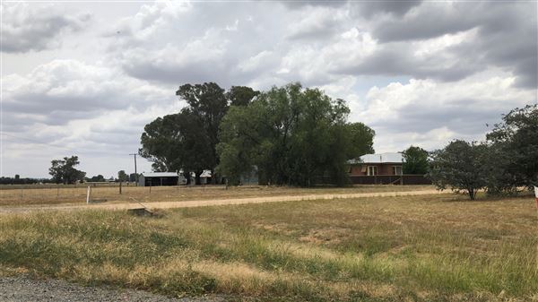 Howlong (8/01/2019 - Credits: Shannon Wheeler)