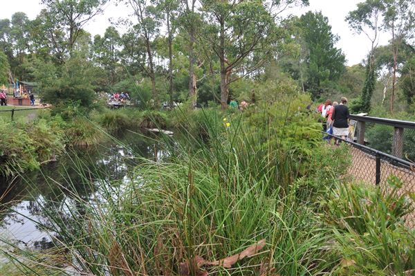 The Australian Reptile Park (25/02/2019 - Credits: Australian Reptile Park)