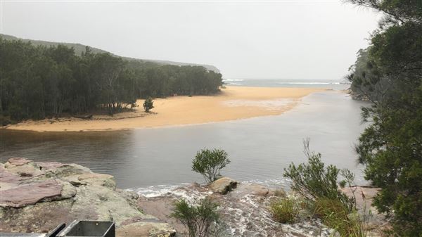 Wattamolla Beach (17/03/2019 - Credits: Shannon Wheeler)
