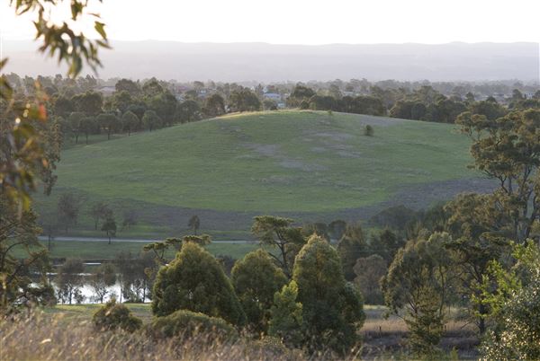 The Australian Botanic Garden Mount Annan - Landscapes with the Australian Botanic Garden (11/02/2019)