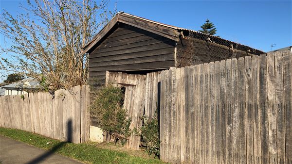 Milton Houses (28/07/2019 - Credits: Shannon Wheeler)