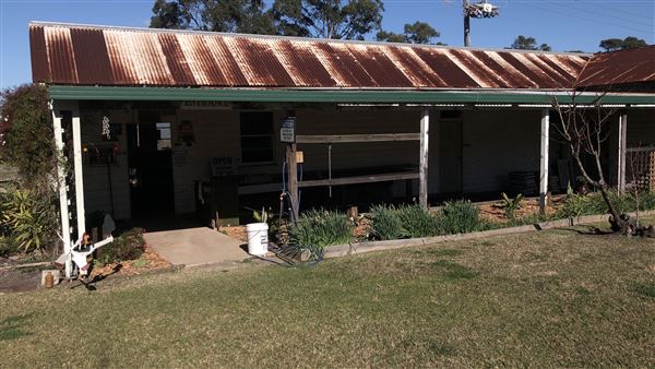 Milton Houses (28/07/2019 - Credits: Shannon Wheeler)