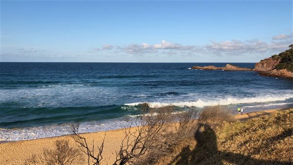 Tura Beach (26/09/2019 - Credits: Shannon Wheeler)