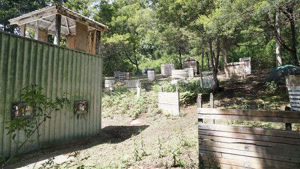 Otford Farm - Paintball Property (19/11/2019 - Credits: Screen NSW)
