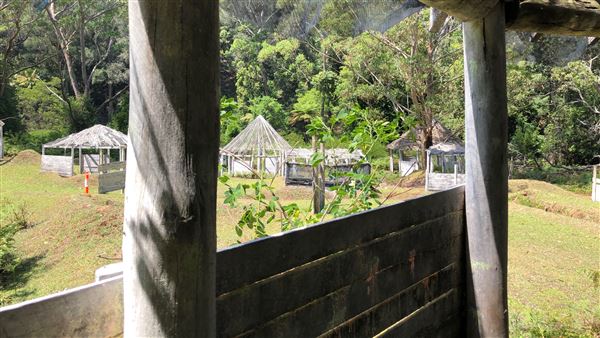Otford Farm - Paintball Property (19/11/2019 - Credits: Screen NSW)