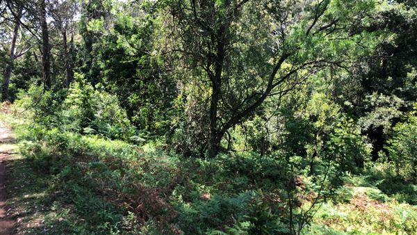Otford Farm - Paintball Property (19/11/2019 - Credits: Screen NSW)