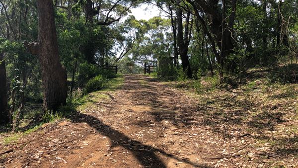 Otford Farm - Paintball Property (19/11/2019 - Credits: Screen NSW)