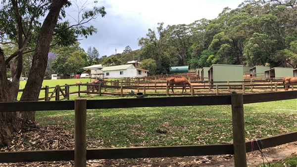 Otford Farm - The Pines Paddock with Jungle Gully (19/11/2019 - Credits: Screen NSW)