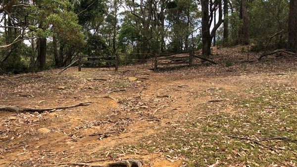 Otford Farm - The Pines Paddock with Jungle Gully (19/11/2019 - Credits: Screen NSW)