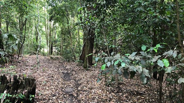 Otford Farm - The Pines Paddock with Jungle Gully (19/11/2019 - Credits: Screen NSW)