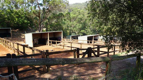 Otford Farm - Horse Farm (19/11/2019 - Credits: Screen NSW)