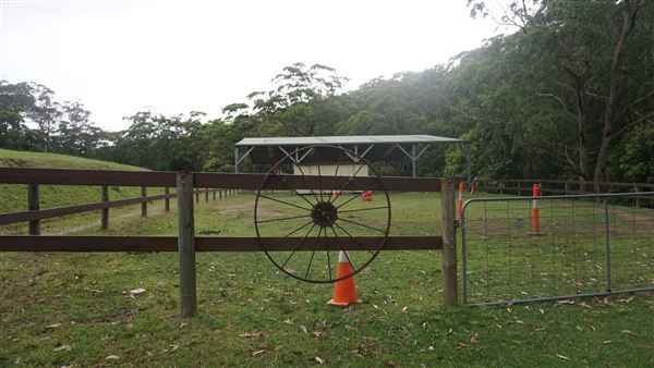 Otford Farm - Horse Farm (19/11/2019 - Credits: Screen NSW)