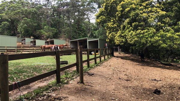 Otford Farm - Horse Farm (19/11/2019 - Credits: Screen NSW)