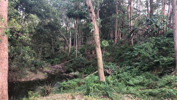Otford Farm - Horse Farm (19/11/2019 - Credits: Screen NSW)