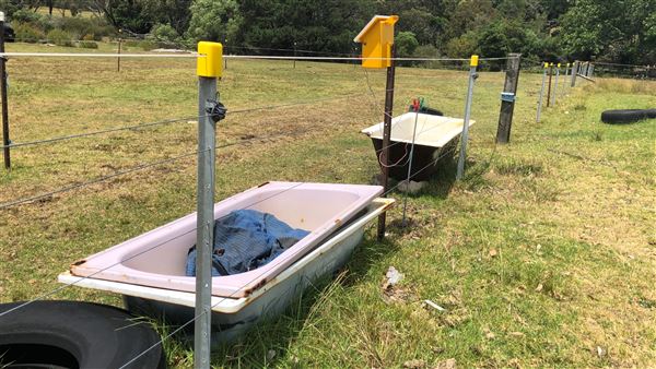 Otford Farm - Crazy T Farm (19/11/2019 - Credits: Screen NSW)