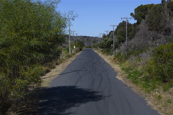 Sir Joseph Banks Drive (17/10/2019)