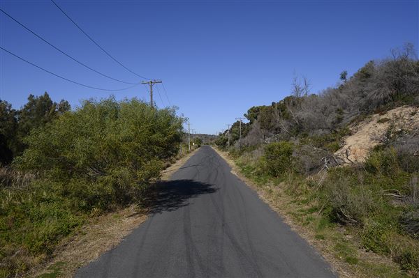 Sir Joseph Banks Drive (17/10/2019)