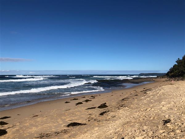 Berrara Beaches (7/07/2020 - Credits: Shannon Wheeler)
