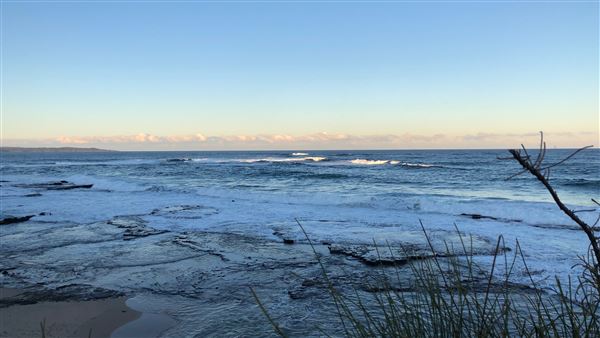 Berrara Beaches (7/07/2020 - Credits: Shannon Wheeler)