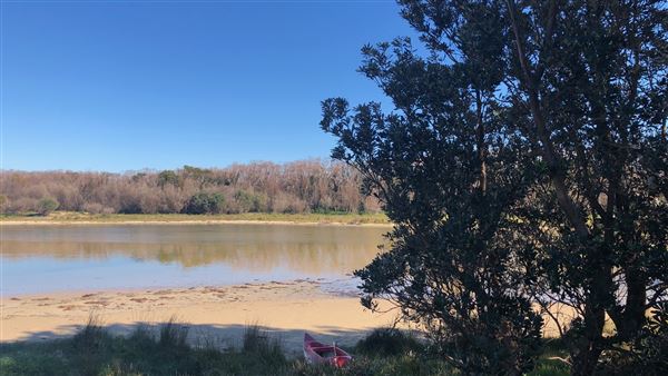 Berrara Creek - Conjola National Park (6/07/2020 - Credits: Shannon Wheeler)