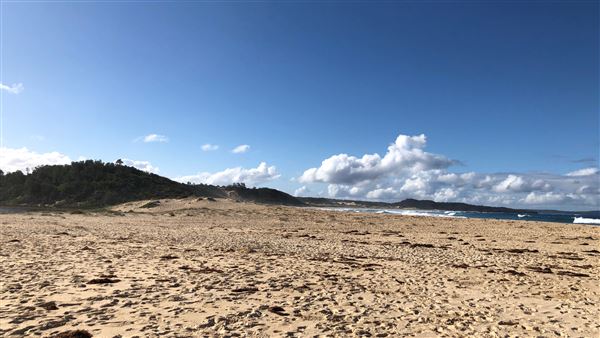 Swan Lake Inlet - Cudmirrah Beach (8/07/2020 - Credits: Shannon Wheeler)