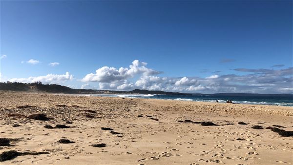 Swan Lake Inlet - Cudmirrah Beach (8/07/2020 - Credits: Shannon Wheeler)