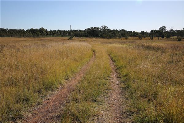 Bungarribee Park  - Western Sydney Parklands (16/06/2020 - Credits: Lisa Scope)