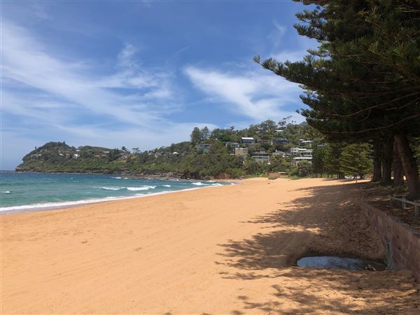 Whale Beach (20/11/2020 - Credits: Screen NSW)