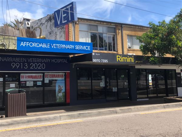 Narrabeen & North Narrabeen (20/11/2020 - Credits: Shannon Wheeler)