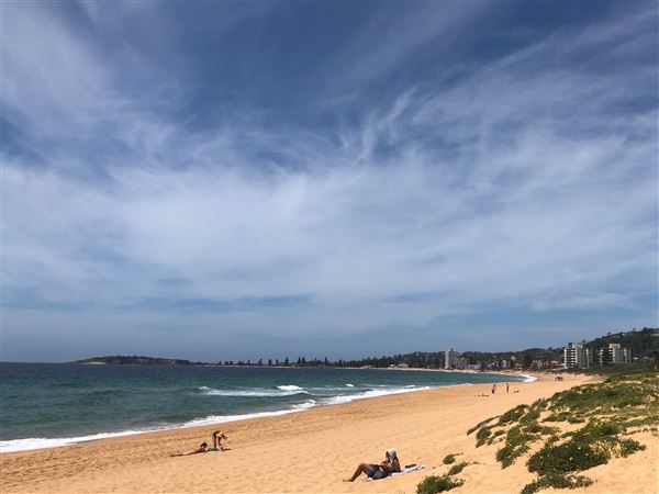 Narrabeen & North Narrabeen - Beaches & Lakes (20/11/2020 - Credits: Shannon Wheeler)