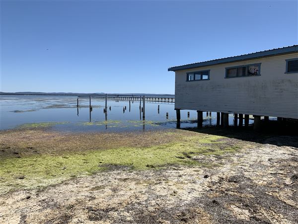 Watkins Jetty Long Jetty (10/10/2020 - Credits: Screen NSW Mechele Axford)
